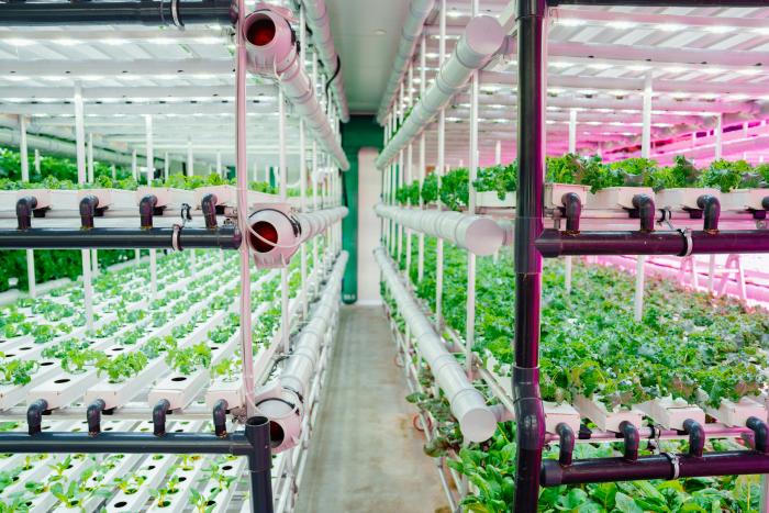 Indoor farming
