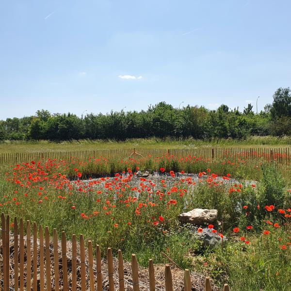 biodiversité